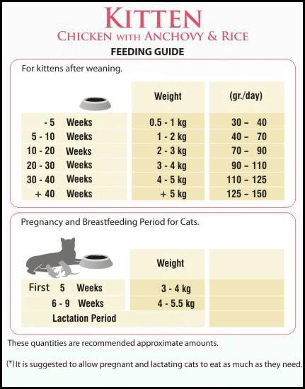 Kitten Feeding Chart